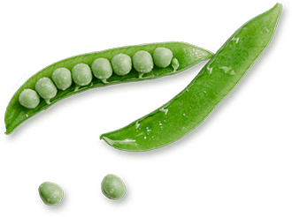 gumes-navya-namur